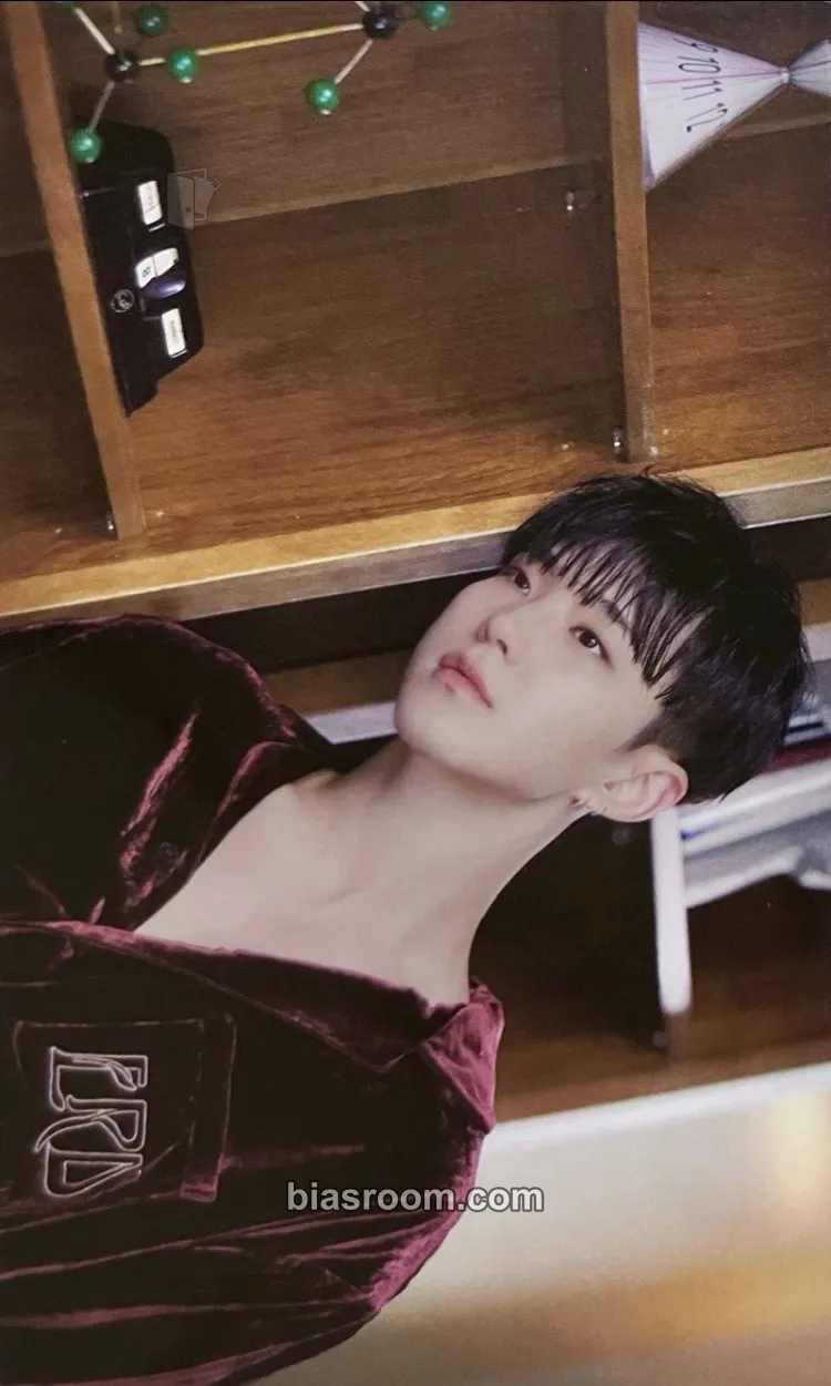 Hoshi FML Photocard - SEVENTEEN - SEVENTEEN K-pop photocard