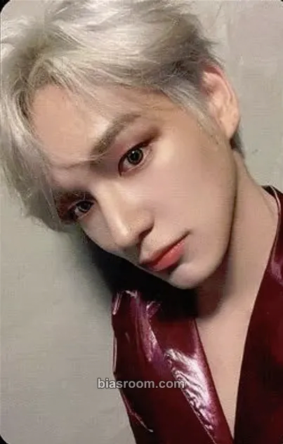 Chan Continuous Photocard - VICTON - VICTON K-pop photocard