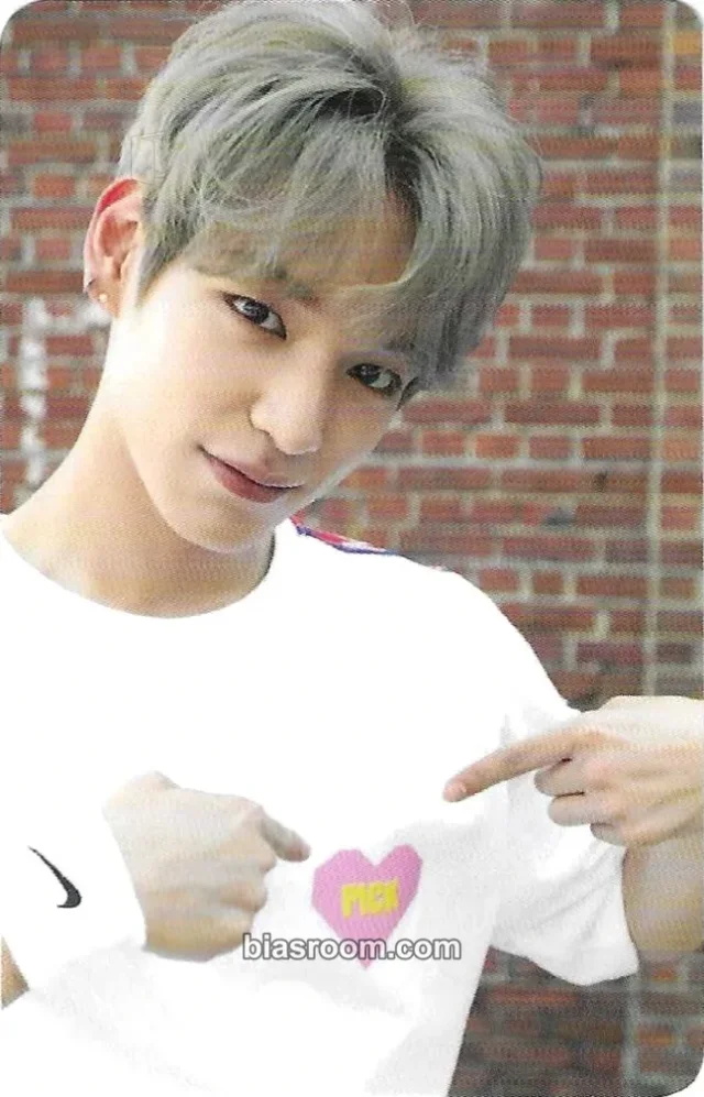 VICTON - Chan - Identity Album album photocard
