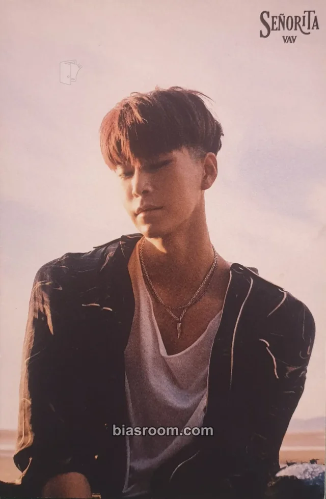VAV - St. Van - Senorita Album postcard album inclusion