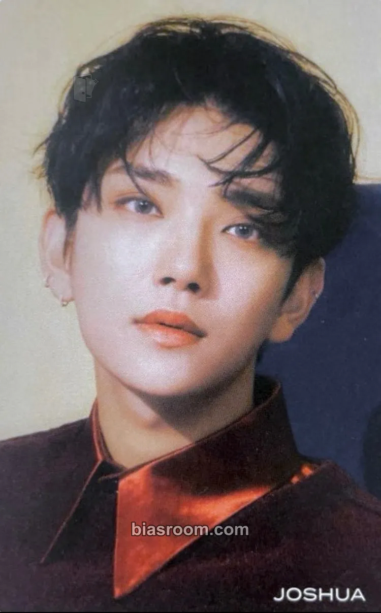 Joshua Not Alone Photocard - SEVENTEEN - SEVENTEEN K-pop photocard