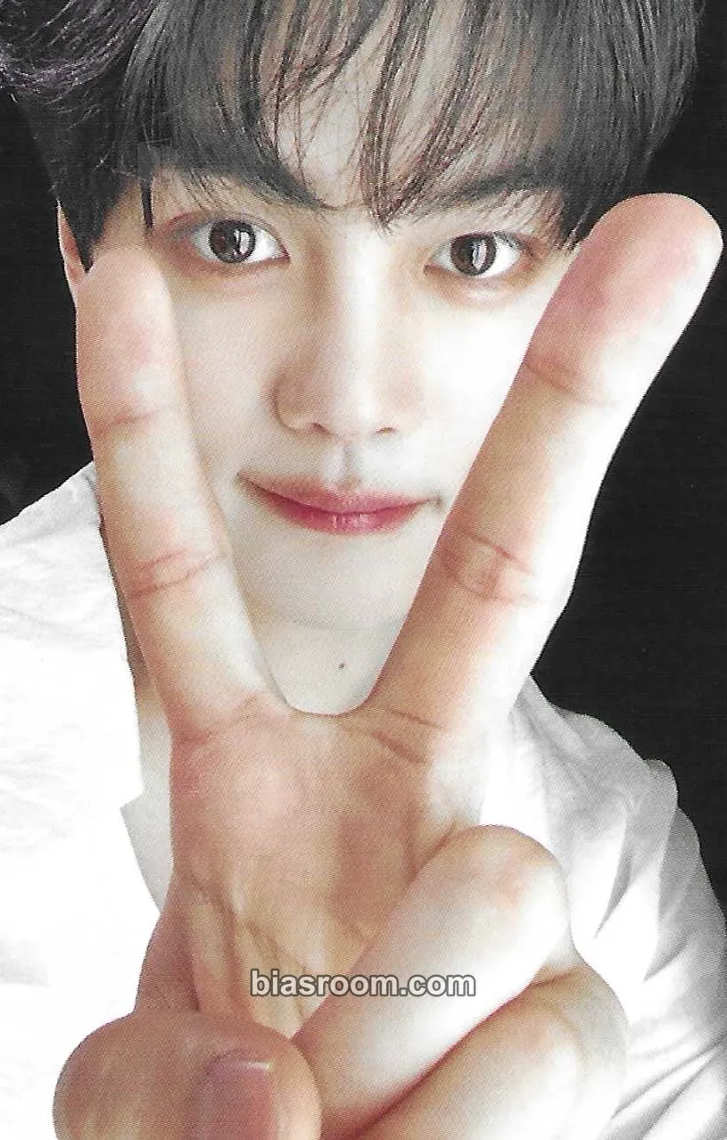 Gyuvin Never Say Never Photocard - ZEROBASEONE - ZEROBASEONE K-pop photocard