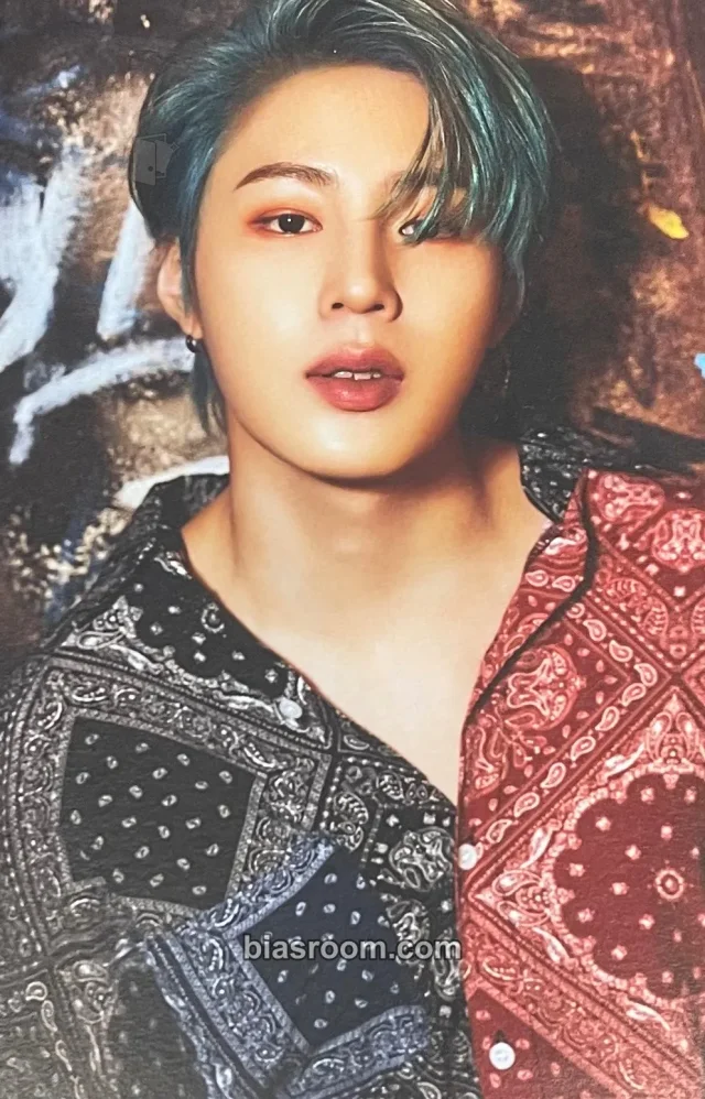 Ha Sung Woon - Ha Sung Woon - Select Shop Album album inclusion postcard