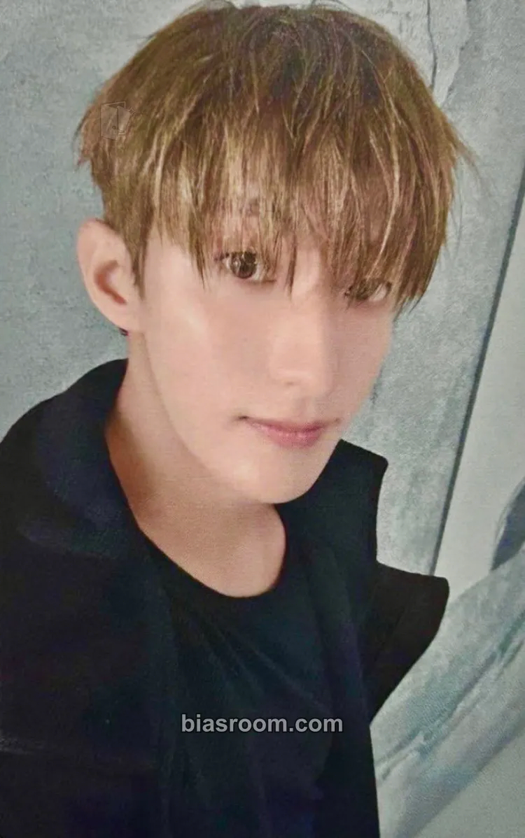 DK Serenade Photocard - SEVENTEEN - SEVENTEEN K-pop photocard