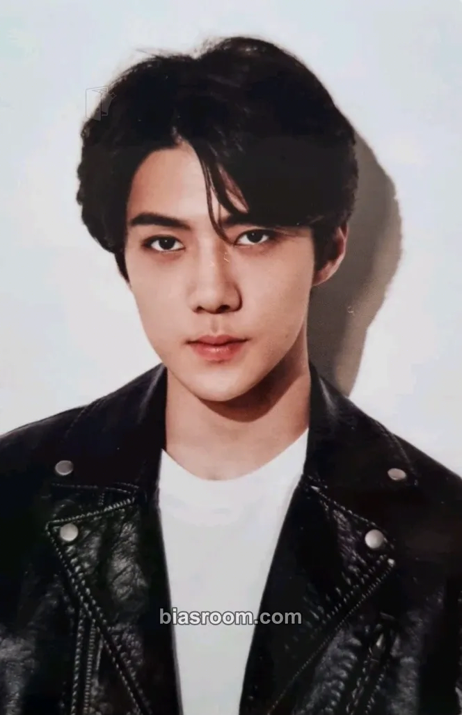Sehun 2016 EXO Season's Greetings Photocard - EXO - EXO K-pop photocard