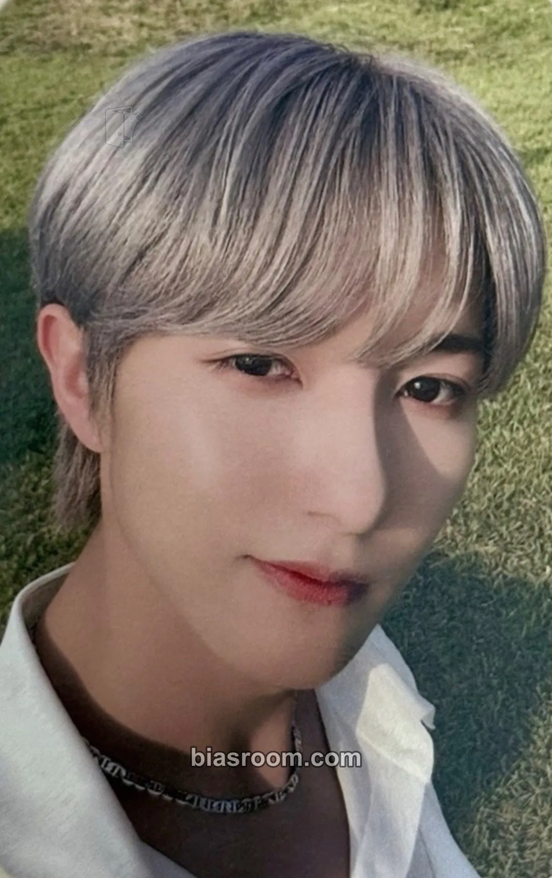 Renjun ISTJ Photocard - NCT DREAM - NCT DREAM K-pop photocard