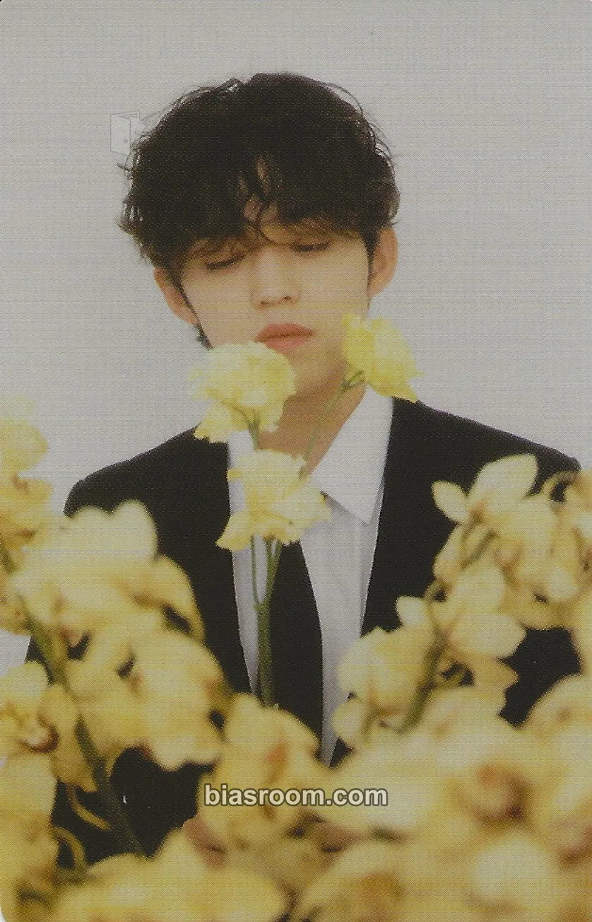 S.Coups FML Photocard - SEVENTEEN - SEVENTEEN K-pop photocard