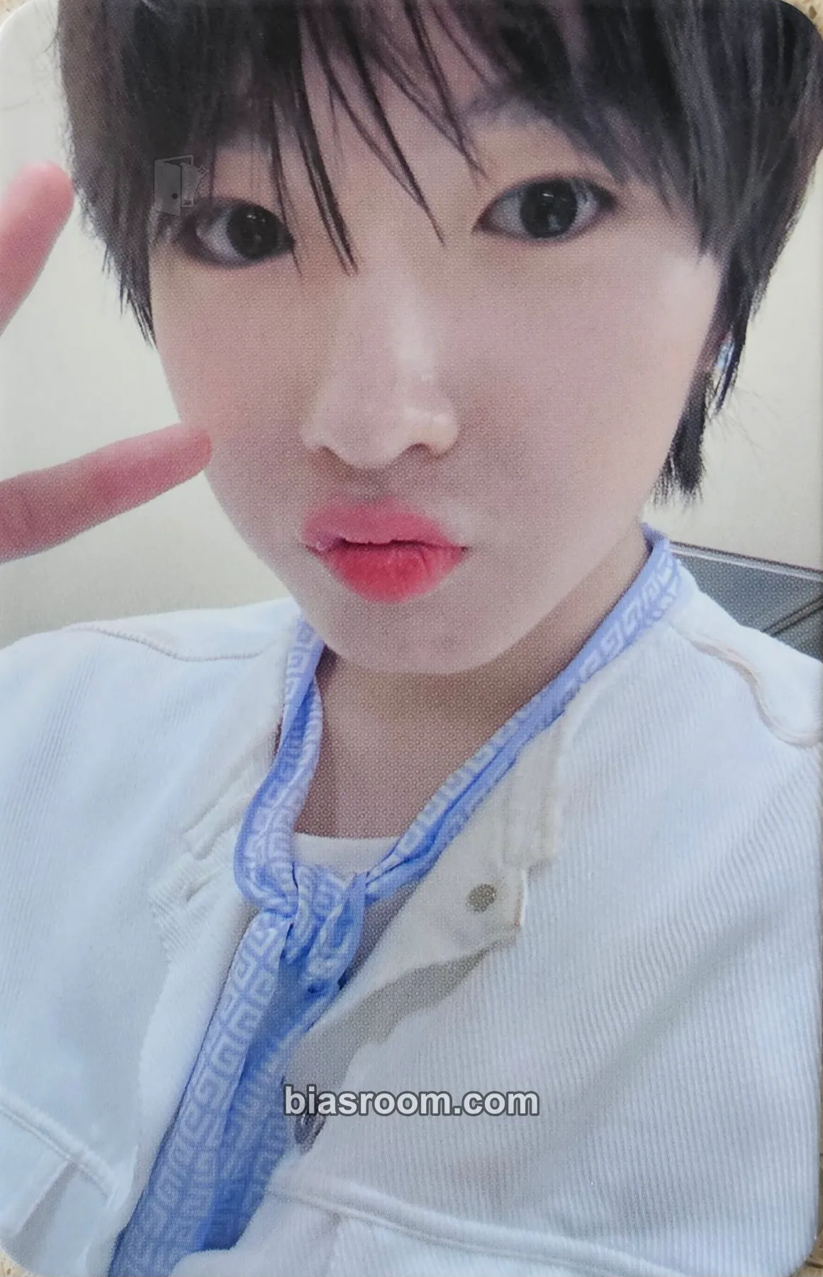 Sakuya WISH Photocard - NCT WISH - NCT WISH K-pop photocard