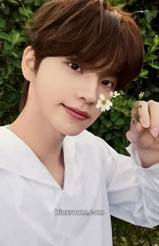 TWS - Shinyu - Nice to see you again - "Hajimemashite" Album album photocard limited edition B version