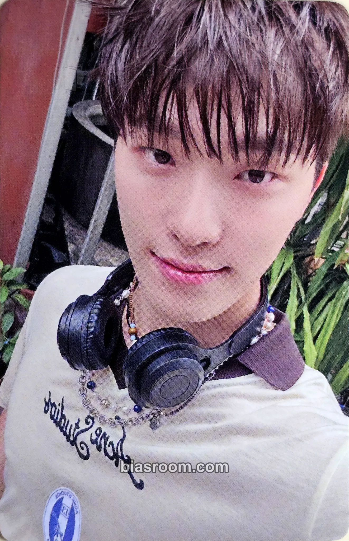 Dino Spill the Feels Photocard - SEVENTEEN - SEVENTEEN K-pop photocard