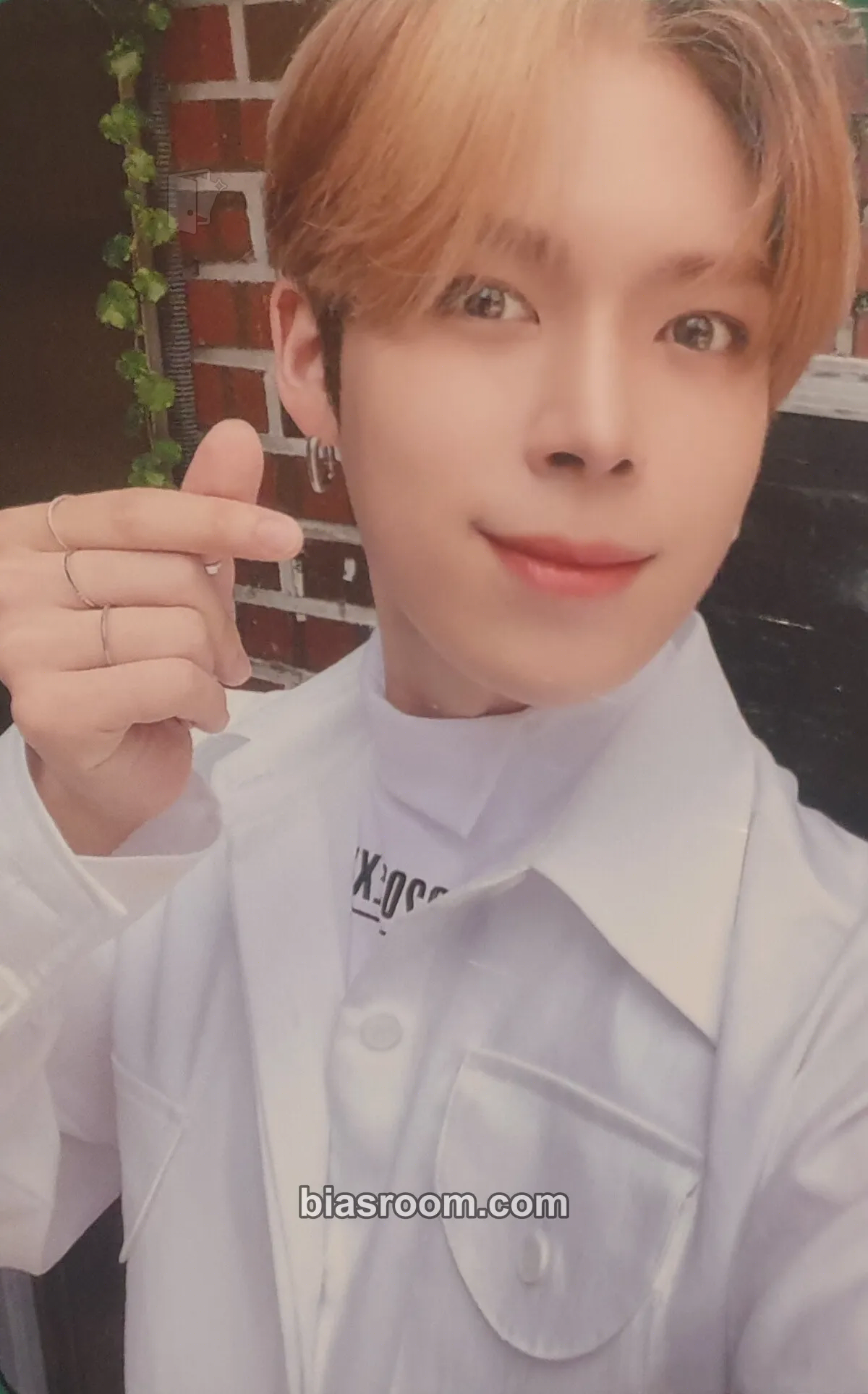 Yeonho Series 'O' Round 2 : Hole Photocard - VERIVERY - VERIVERY K-pop photocard