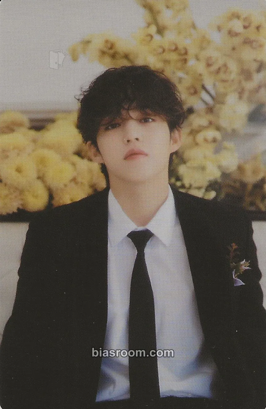 S.Coups FML Photocard - SEVENTEEN - SEVENTEEN K-pop photocard