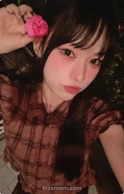 siso - siso - Dear Nobody Album album inclusion