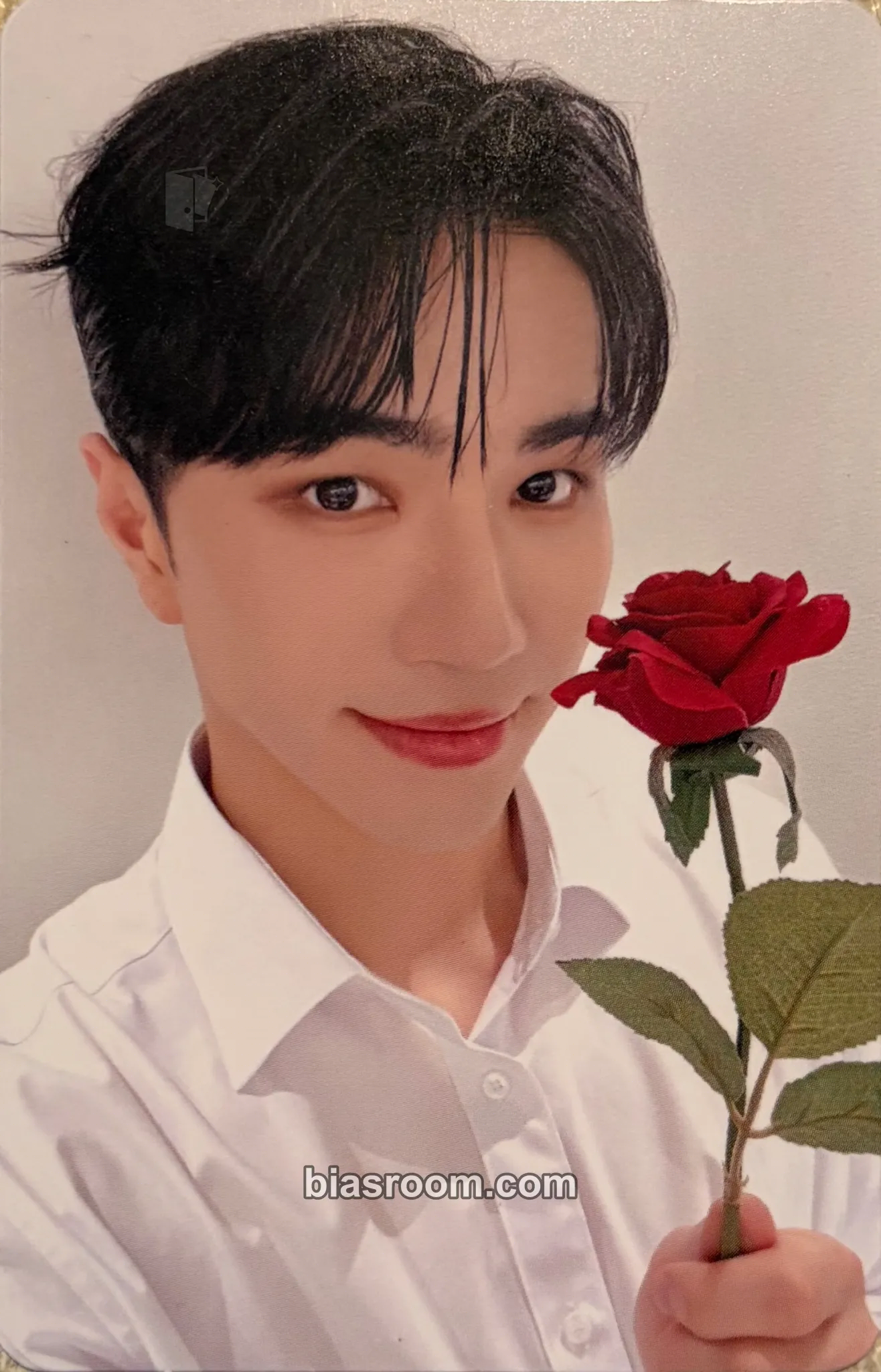 Taehwan CAPTURE THE FLAG Photocard - VANNER - VANNER K-pop photocard