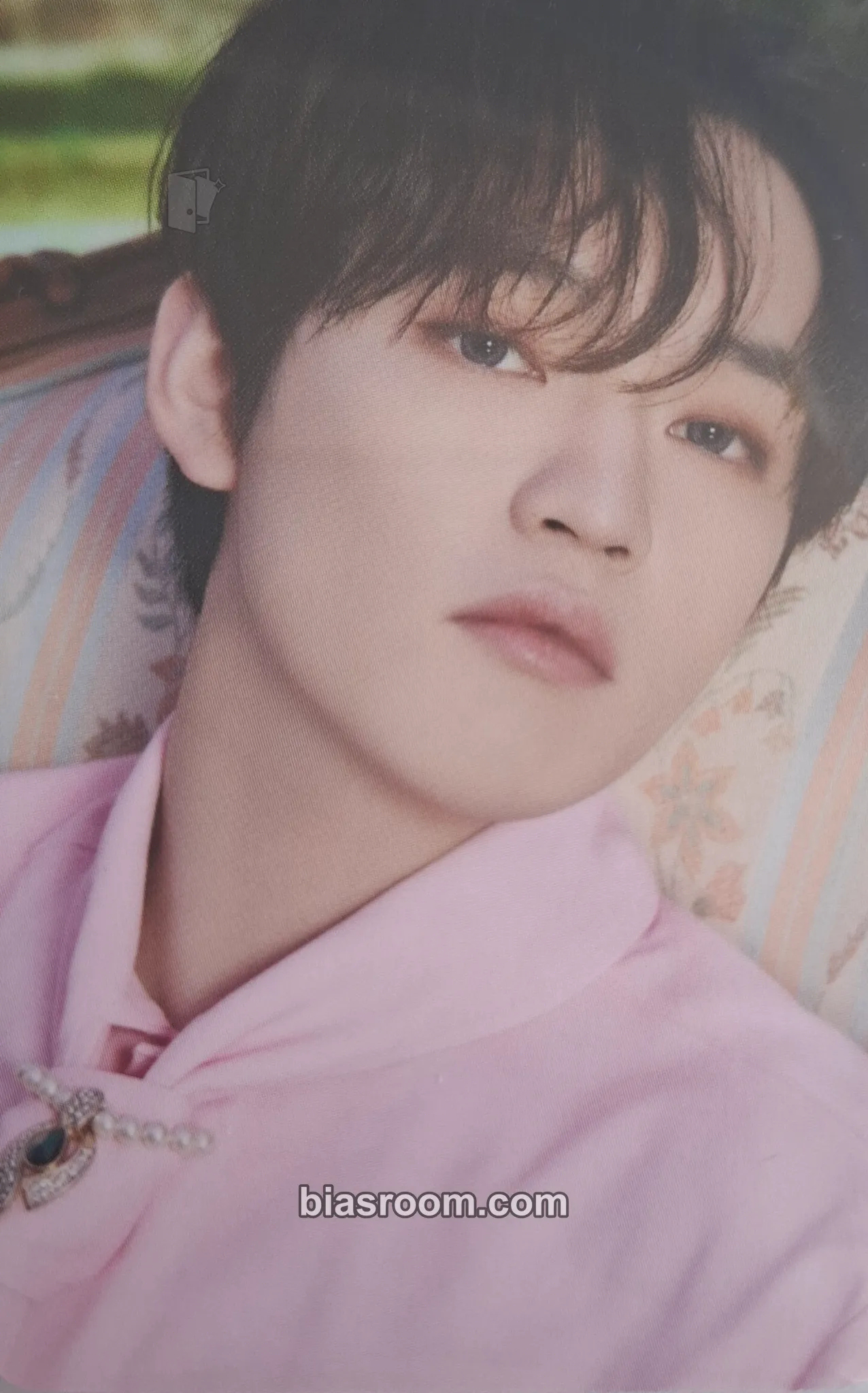 Chenle DICON D'FESTA Mini Edition Photocard - NCT DREAM - NCT DREAM K-pop photocard