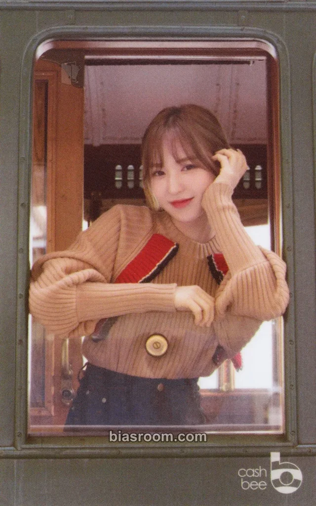 Red Velvet - Other cashbee pvc card merch photocard