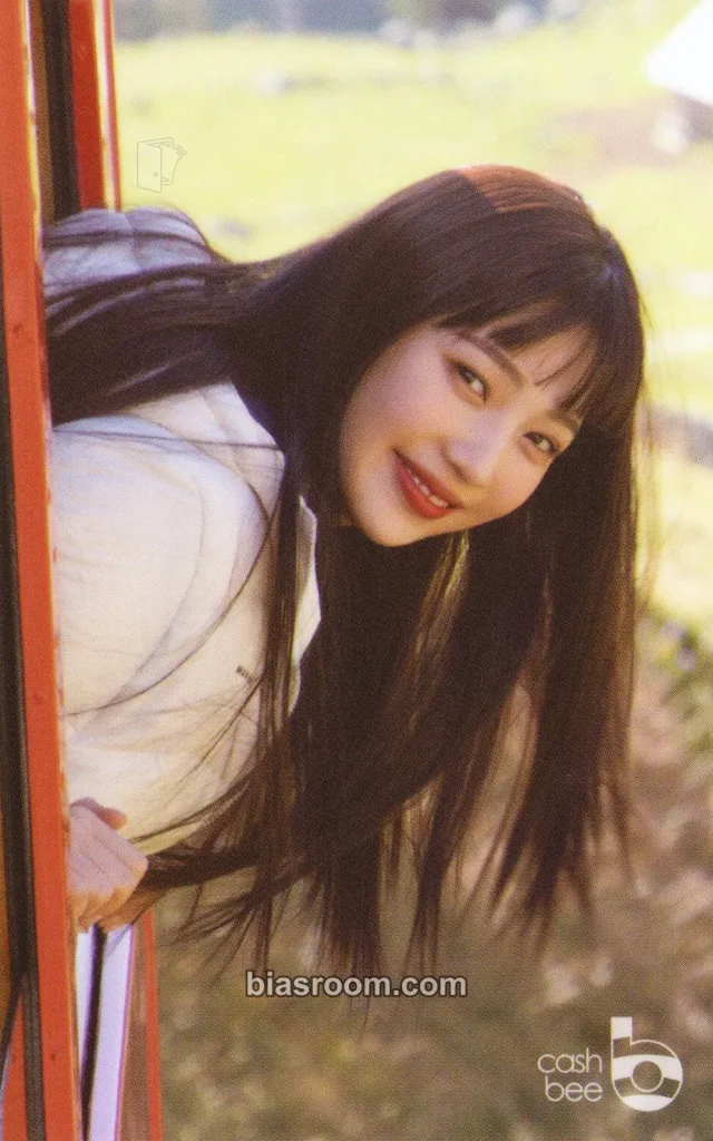 Red Velvet - Other cashbee pvc card merch photocard