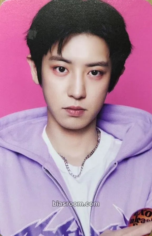 Chanyeol 2026 EXO Season’s Greetings — Division Zero: EXO Photocard - EXO - EXO K-pop photocard