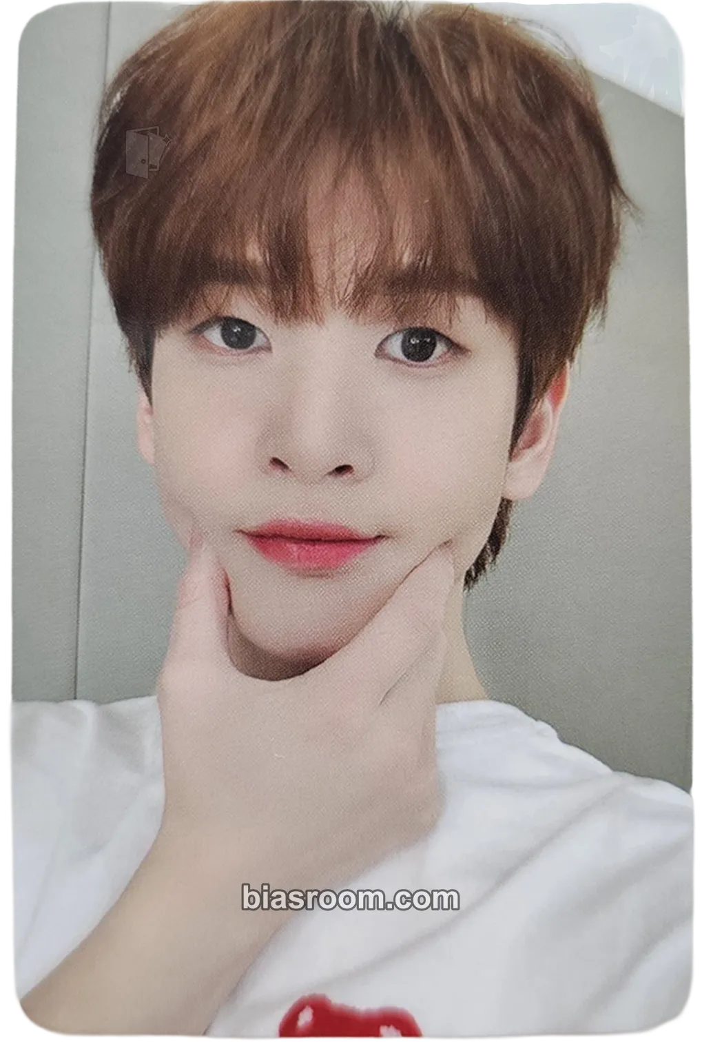 Allen WINTER CCREW Pop-Up Store Photocard - CRAVITY - CRAVITY K-pop photocard