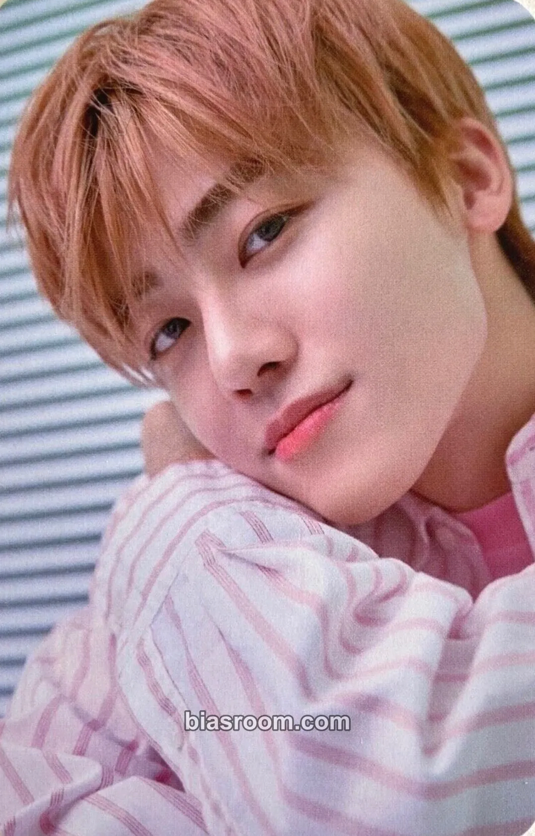 Jaemin Dream Laundry Shop Photocard - NCT DREAM - NCT DREAM K-pop photocard