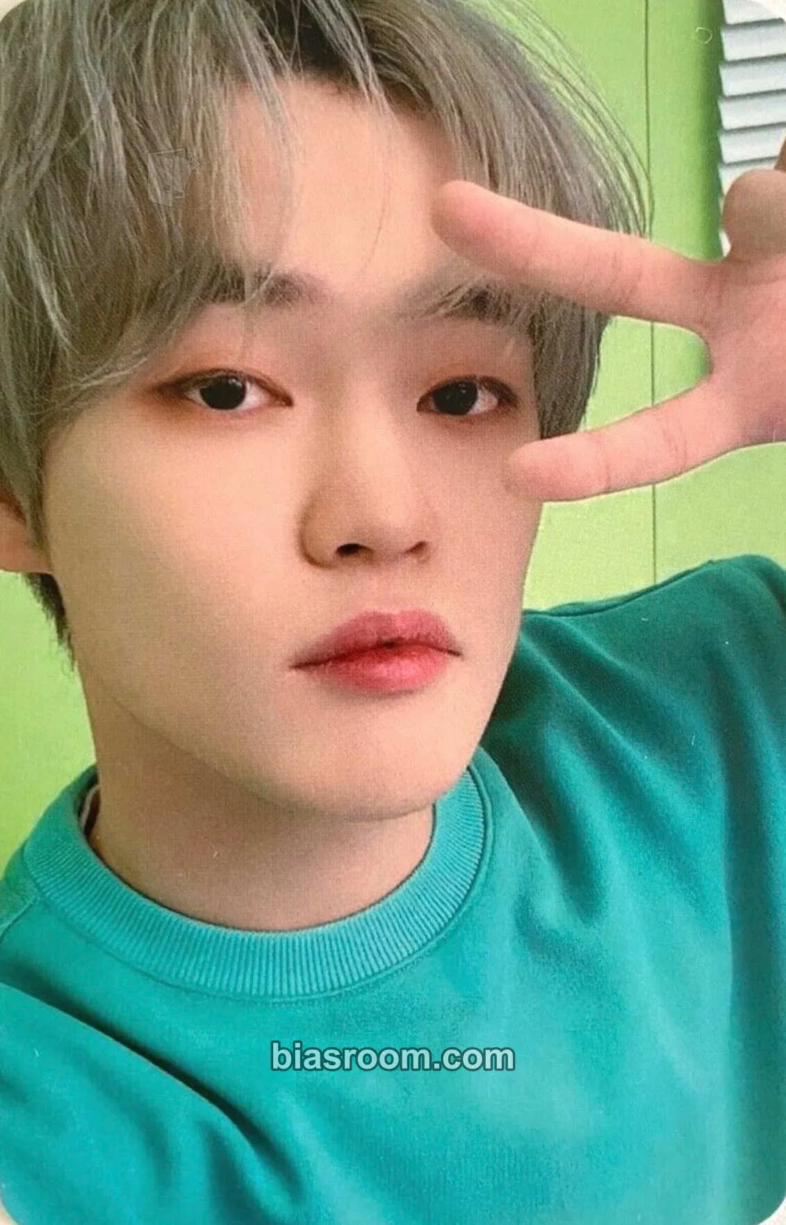 Chenle Dream Laundry Shop Photocard - NCT DREAM - NCT DREAM K-pop photocard