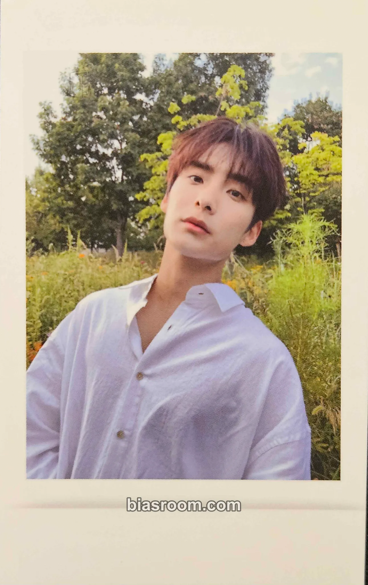 Park Junhee Changer : Dear Eris Photocard - A.C.E - A.C.E K-pop photocard