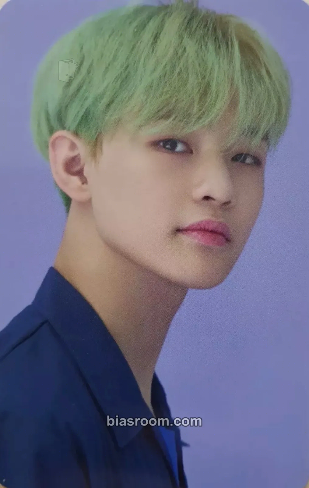 Chenle 6TH ANNIVERSARY MD Photocard - NCT DREAM - NCT DREAM K-pop photocard
