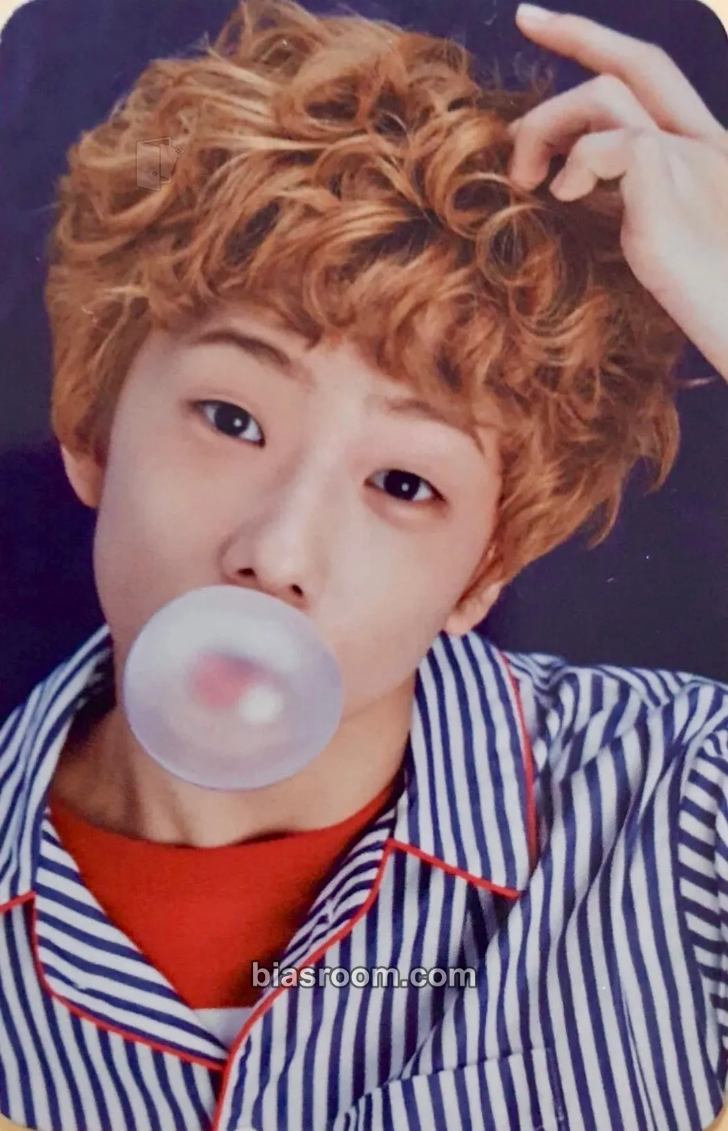 Jisung 6TH ANNIVERSARY MD Photocard - NCT DREAM - NCT DREAM K-pop photocard