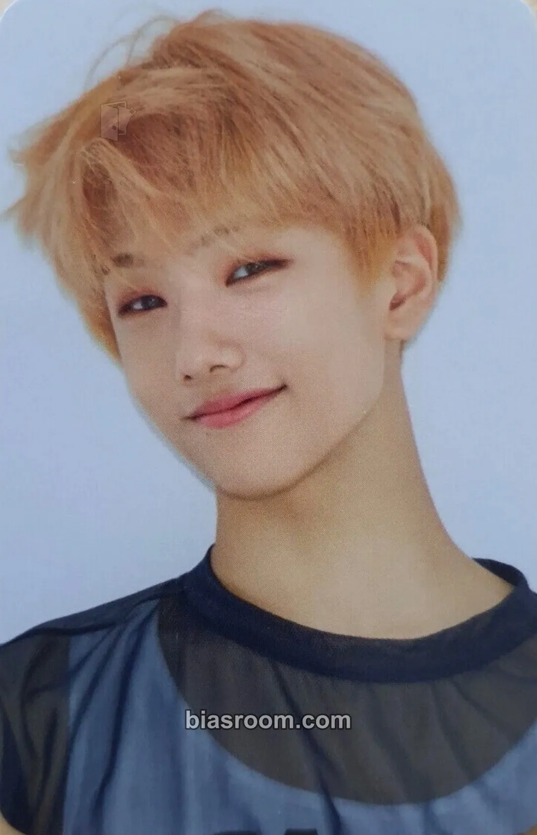 Jisung 6TH ANNIVERSARY MD Photocard - NCT DREAM - NCT DREAM K-pop photocard