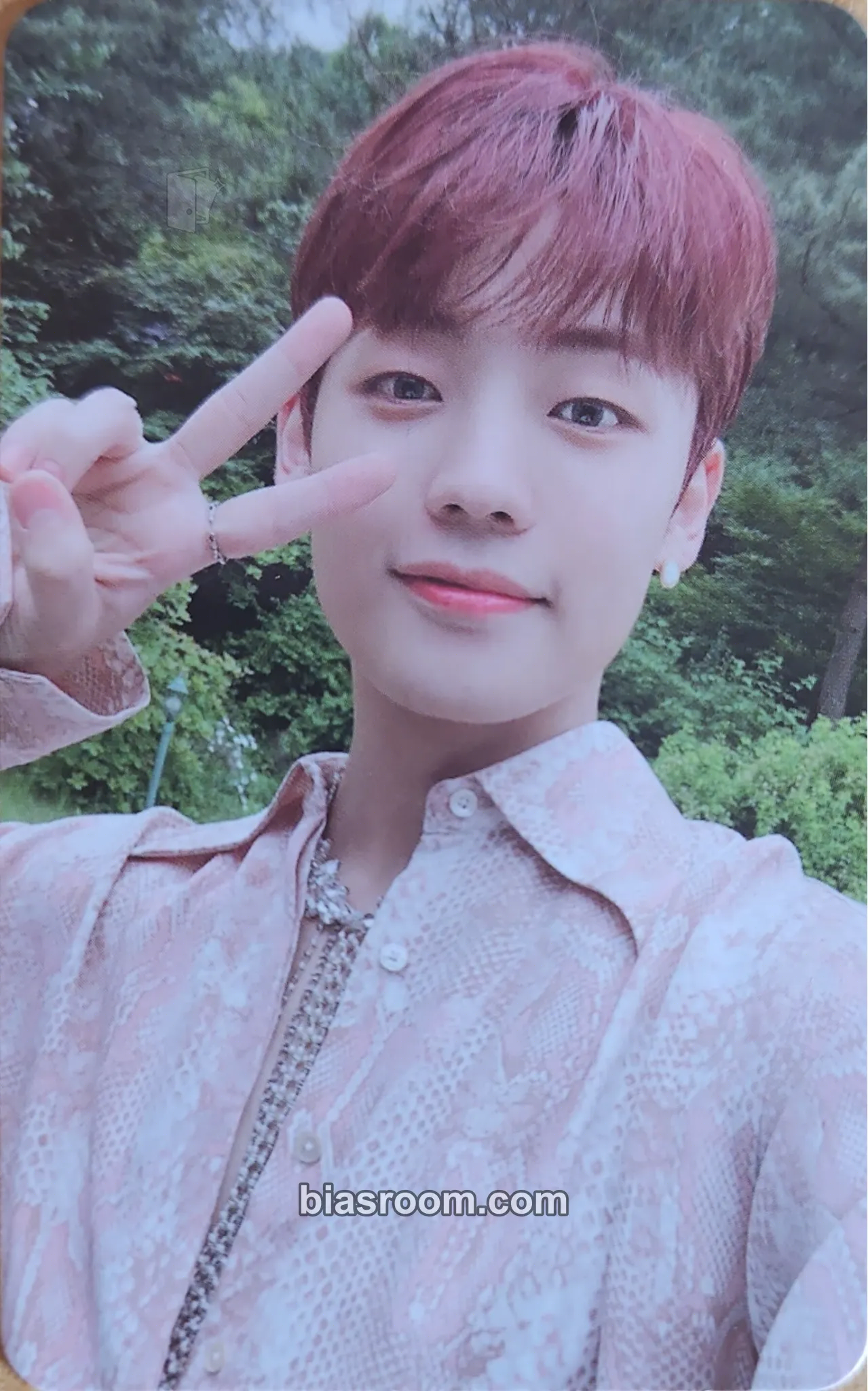 Kang Yuchan SIREN : DAWN Photocard - A.C.E - A.C.E K-pop photocard