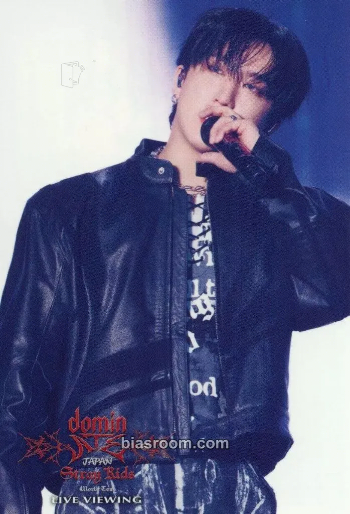 Changbin DominATE World Tour Photocard - Stray Kids - Stray Kids K-pop photocard