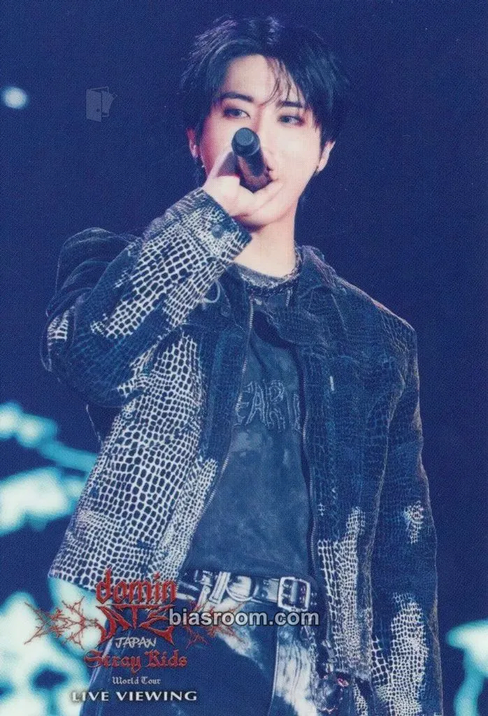HAN DominATE World Tour Photocard - Stray Kids - Stray Kids K-pop photocard