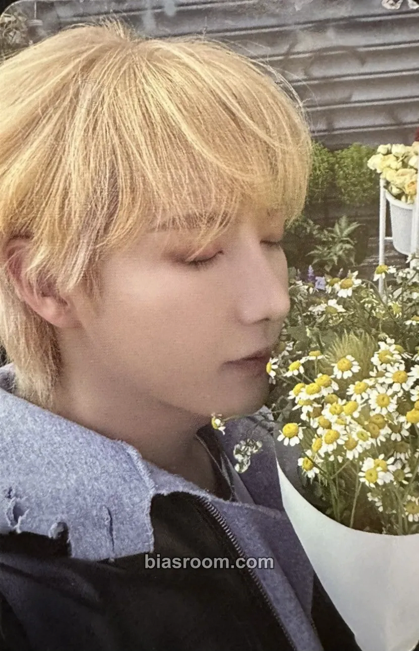 Renjun Dreamscape Photocard - NCT DREAM - NCT DREAM K-pop photocard