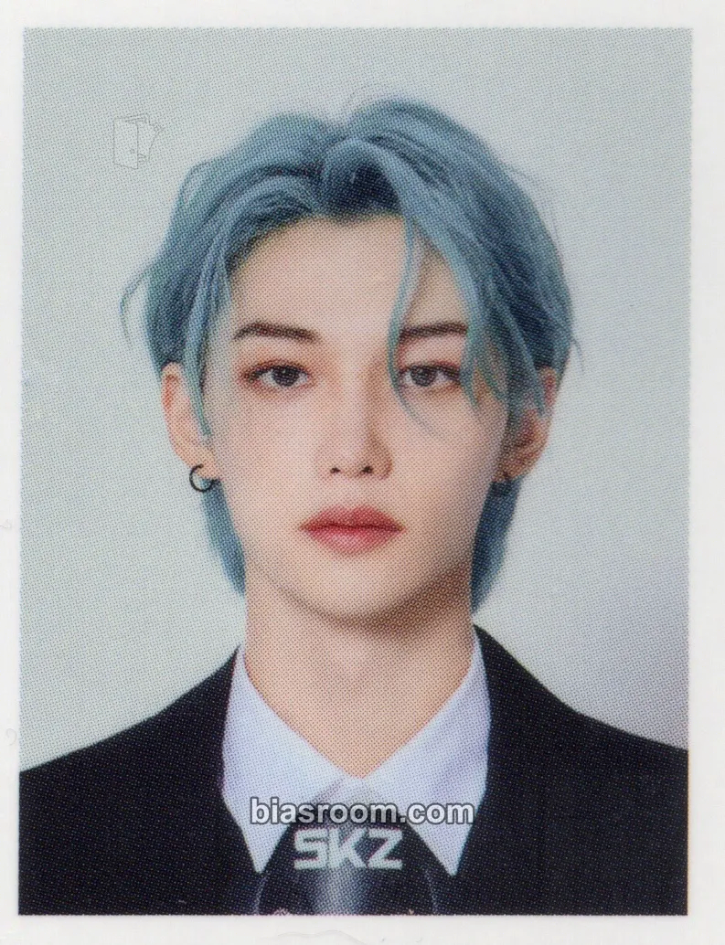 Felix 5-Star Dome Tour 2023 Photocard - Stray Kids - Stray Kids K-pop photocard