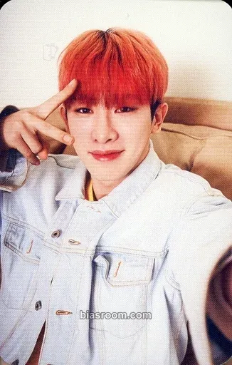 Wonho Piece Photocard - MONSTA X - MONSTA X K-pop photocard
