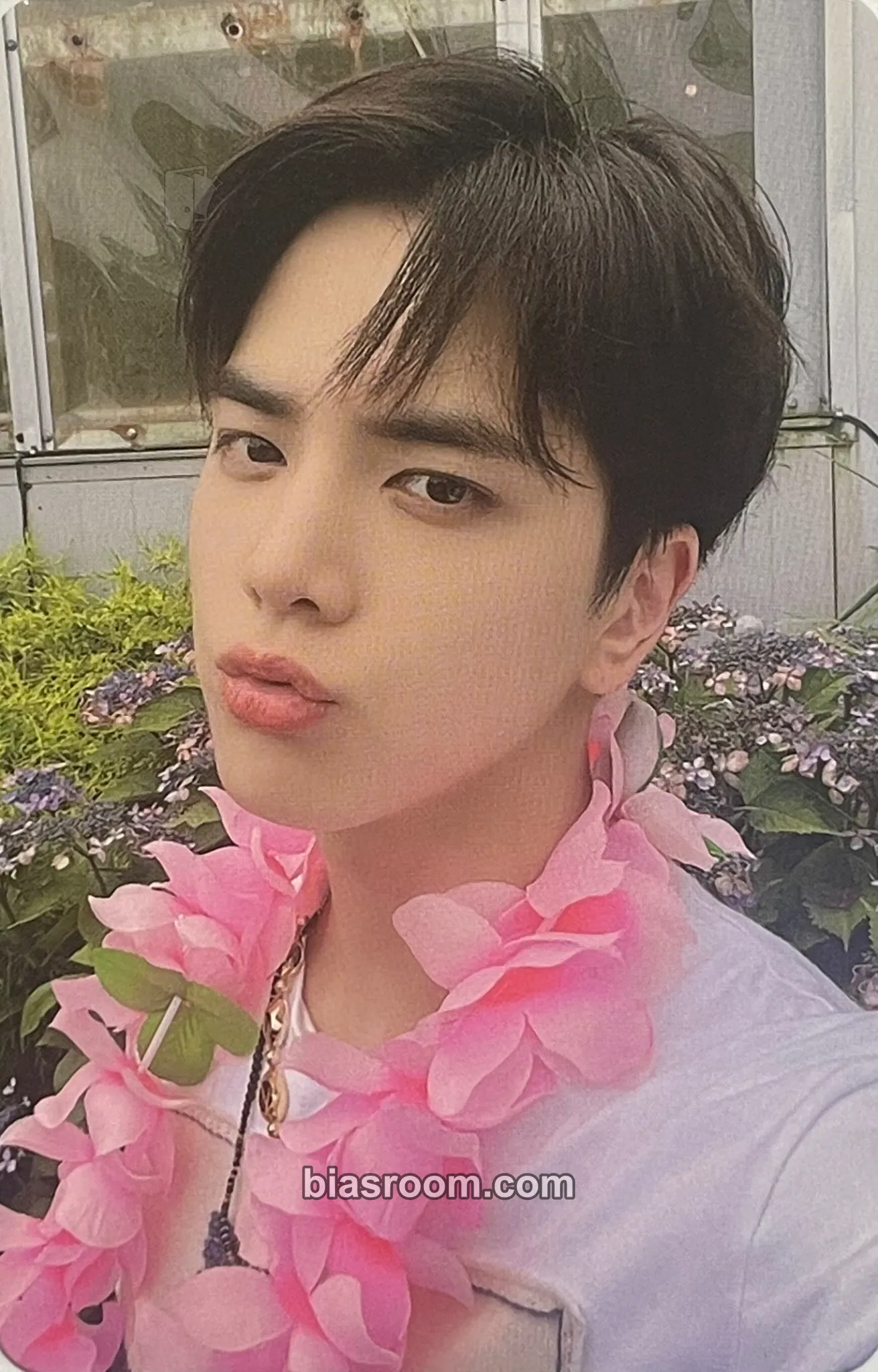 Younghoon Thrill-ing Photocard - THE BOYZ - THE BOYZ K-pop photocard