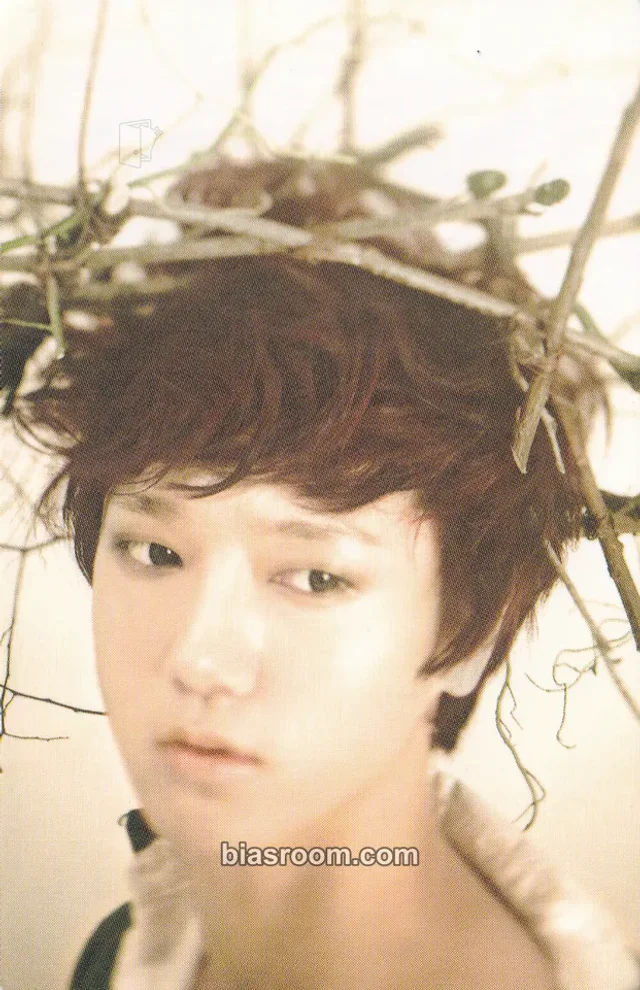SUPER JUNIOR - Yesung - Sexy, Free & Single (Japanese Ver.) Album album photocard Limited edition version
