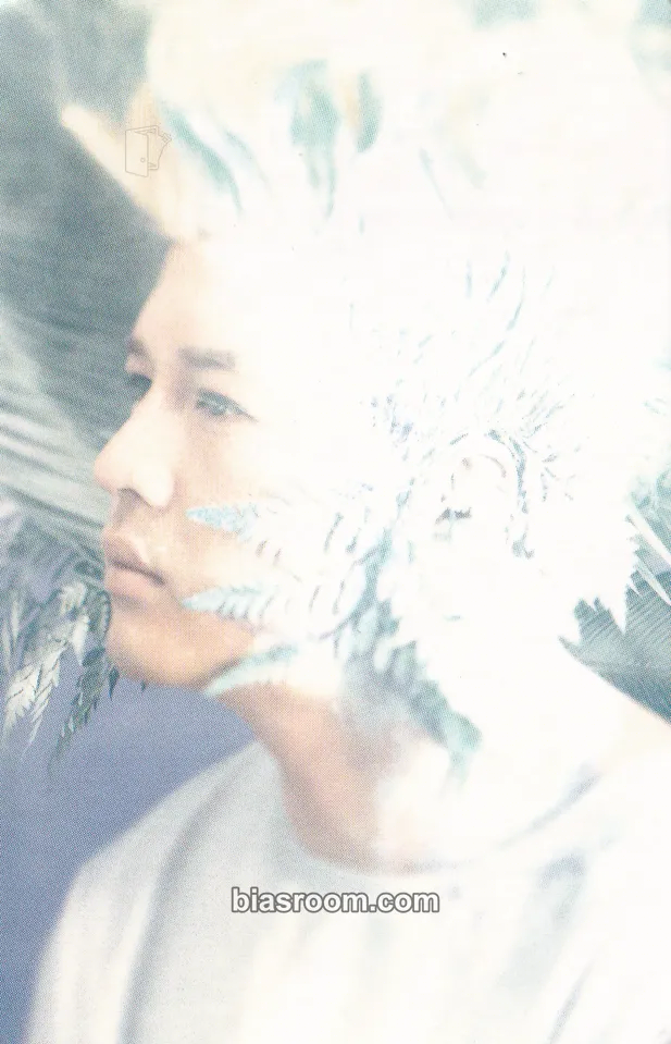 Shindong Sexy, Free & Single (Japan Ed.) Photocard - SUPER JUNIOR - SUPER JUNIOR K-pop photocard