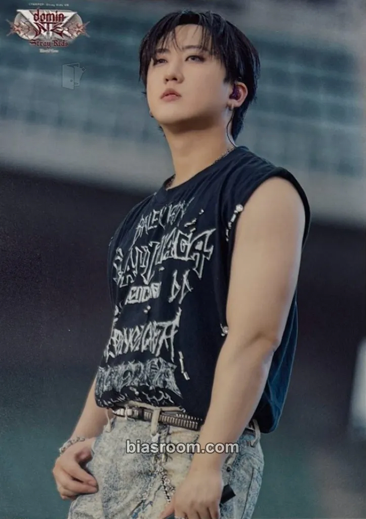 Changbin LYNKPOP : Stray Kids World Tour "dominATE JAPAN" VR" Photocard - Stray Kids - Stray Kids K-pop photocard