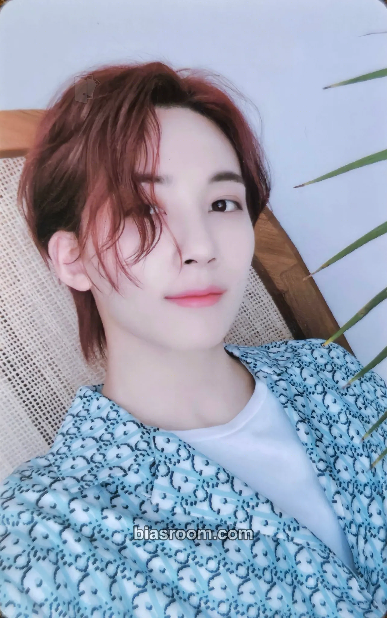 Jeonghan Your Choice Photocard - SEVENTEEN - SEVENTEEN K-pop photocard