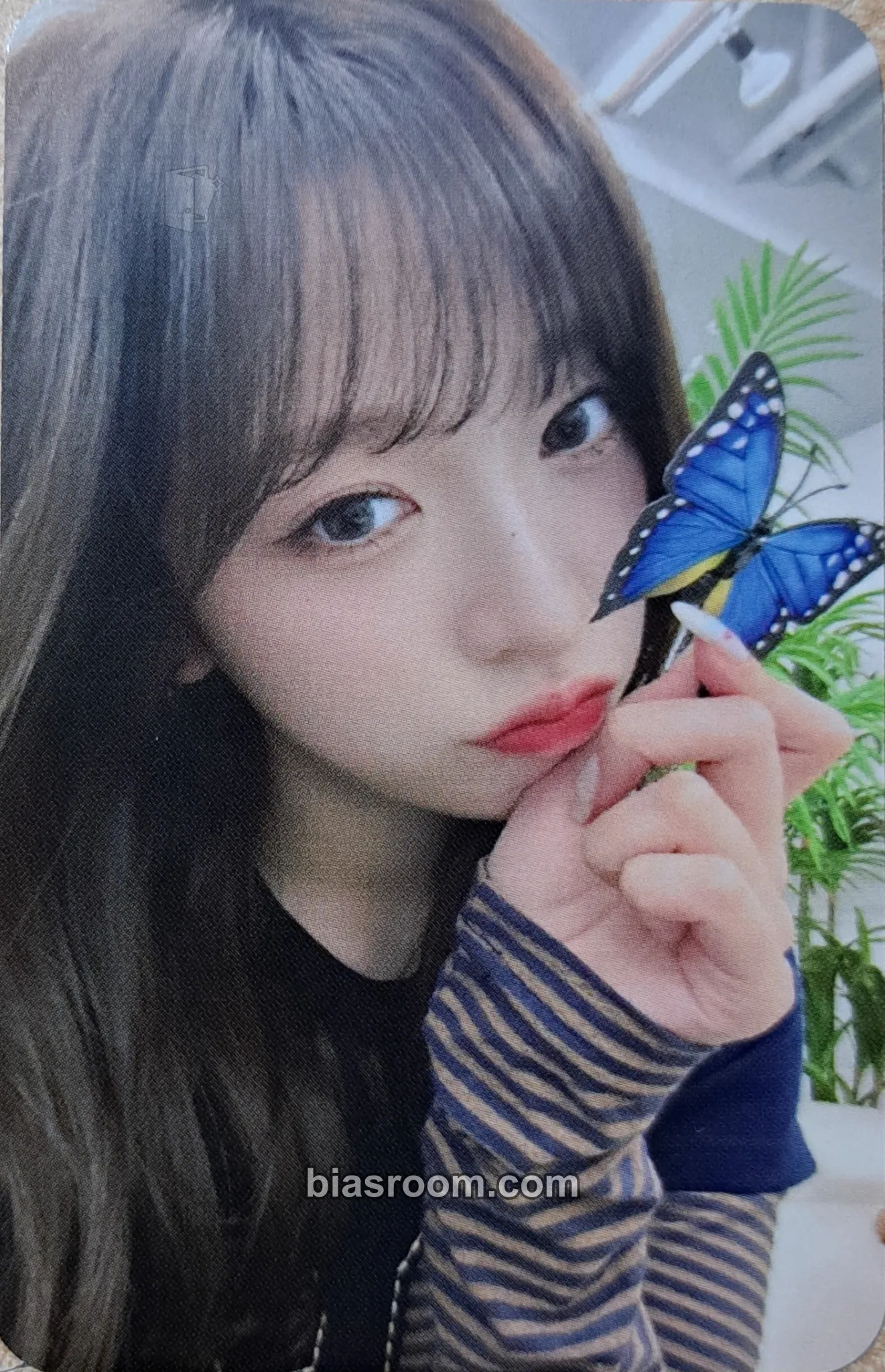 Haruna appendix: Of All We Have Lost Photocard - Billlie - Billlie K-pop photocard