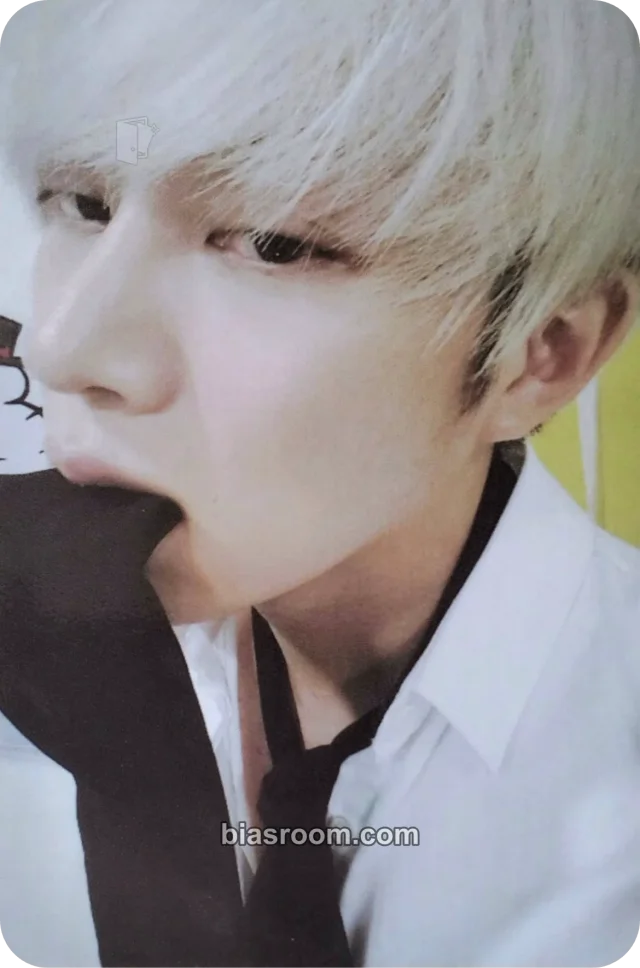 SUPER JUNIOR - Heechul - Magic Album album photocard
