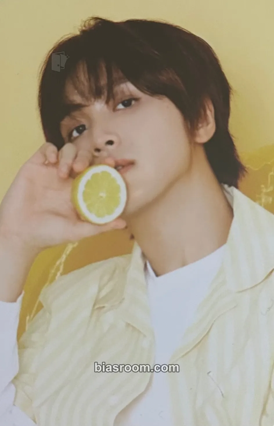 Haechan 2026 Season’s Greetings Photocard - NCT DREAM - NCT DREAM K-pop photocard