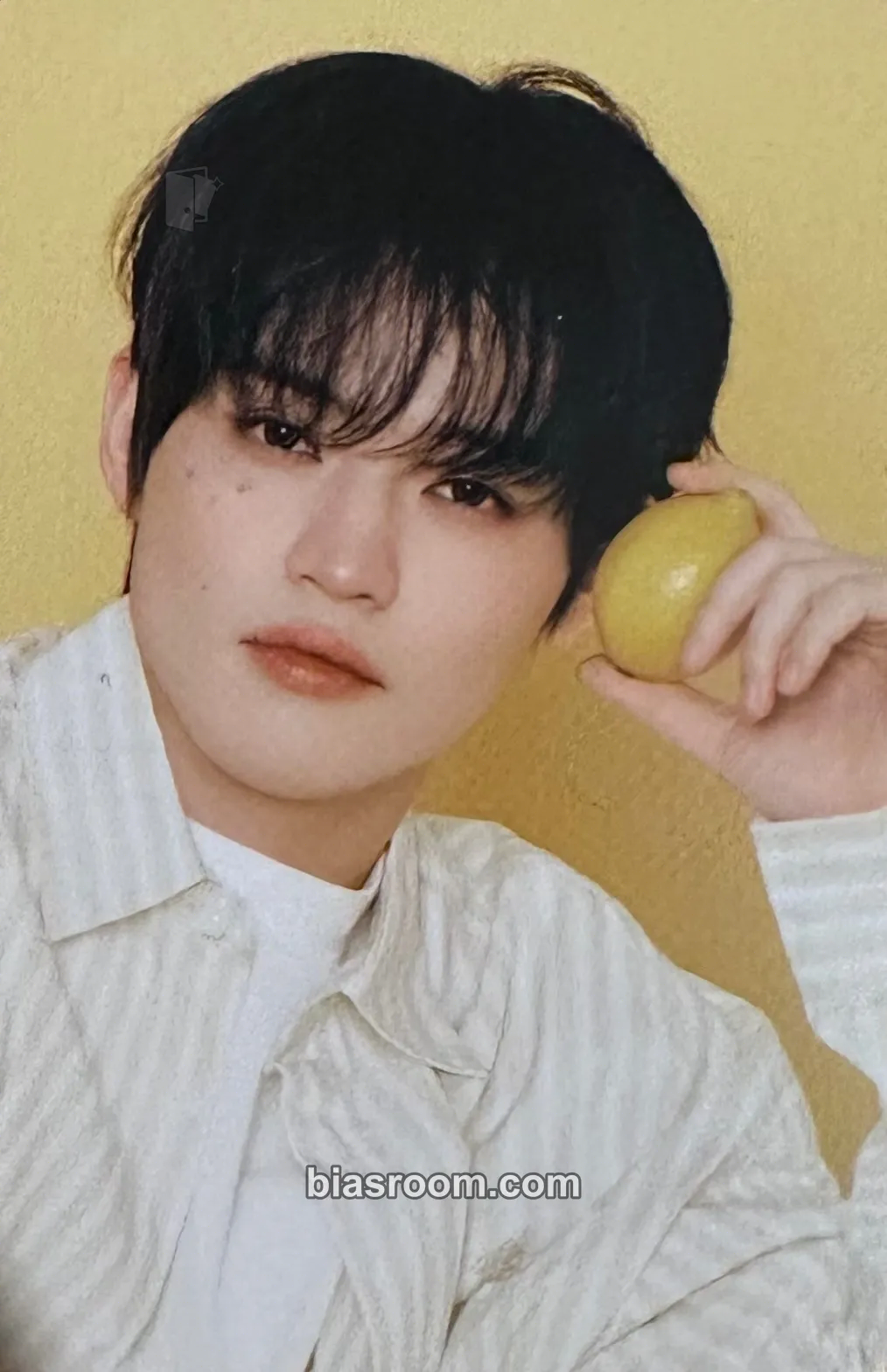 Chenle 2026 Season’s Greetings Photocard - NCT DREAM - NCT DREAM K-pop photocard