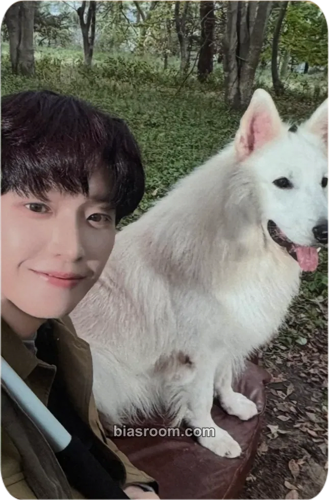 Inseong Crossfade: (In Seong Solo) Photocard - SF9 - SF9 K-pop photocard