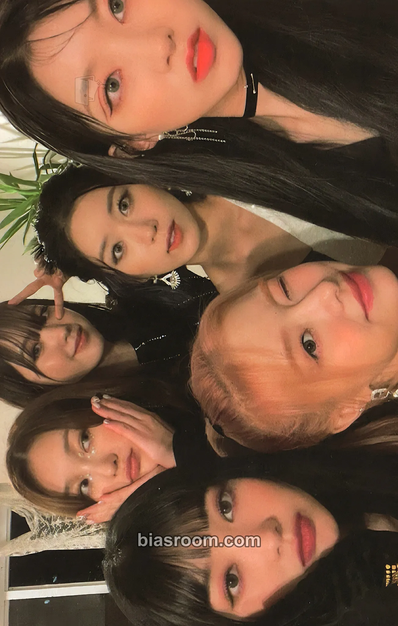 Dreams Alive Photocard - DreamNote - DreamNote K-pop photocard