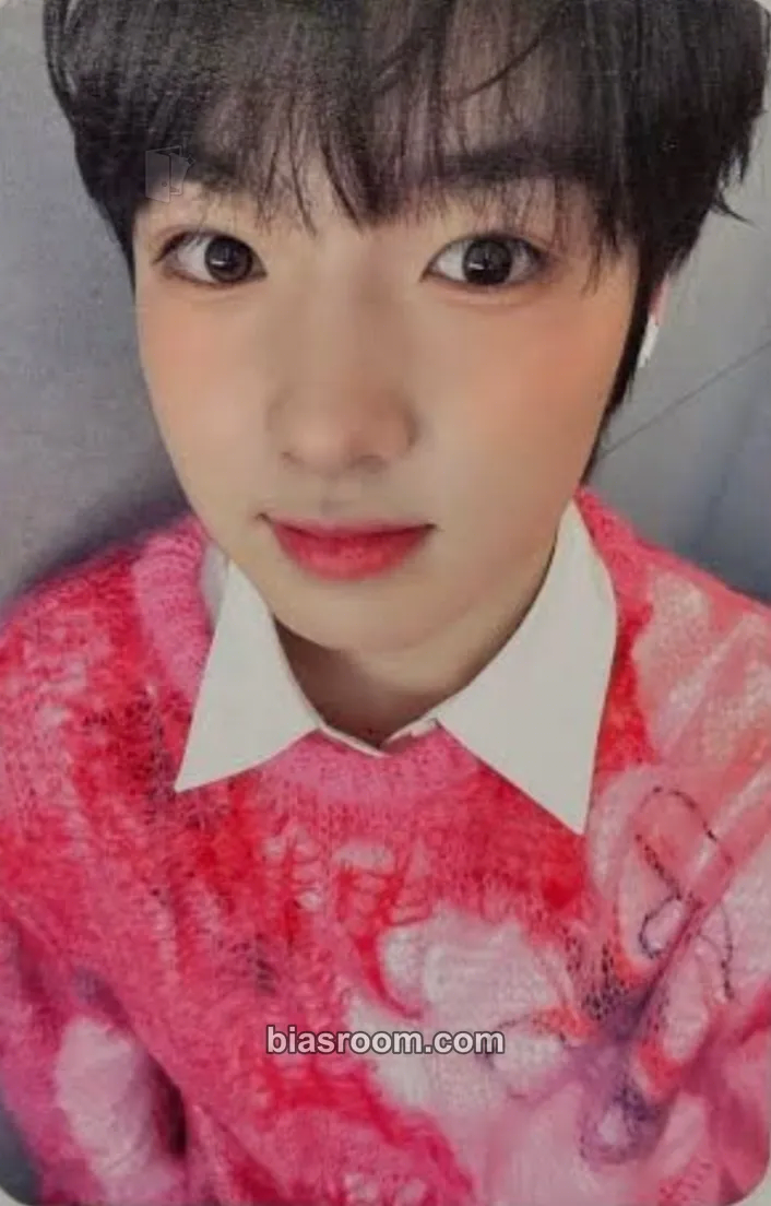 Sakuya WISH Photocard - NCT WISH - NCT WISH K-pop photocard