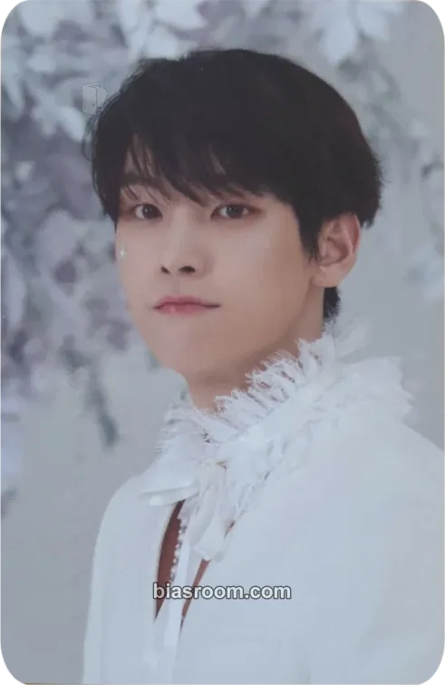 Inseong TURN OVER Photocard - SF9 - SF9 K-pop photocard