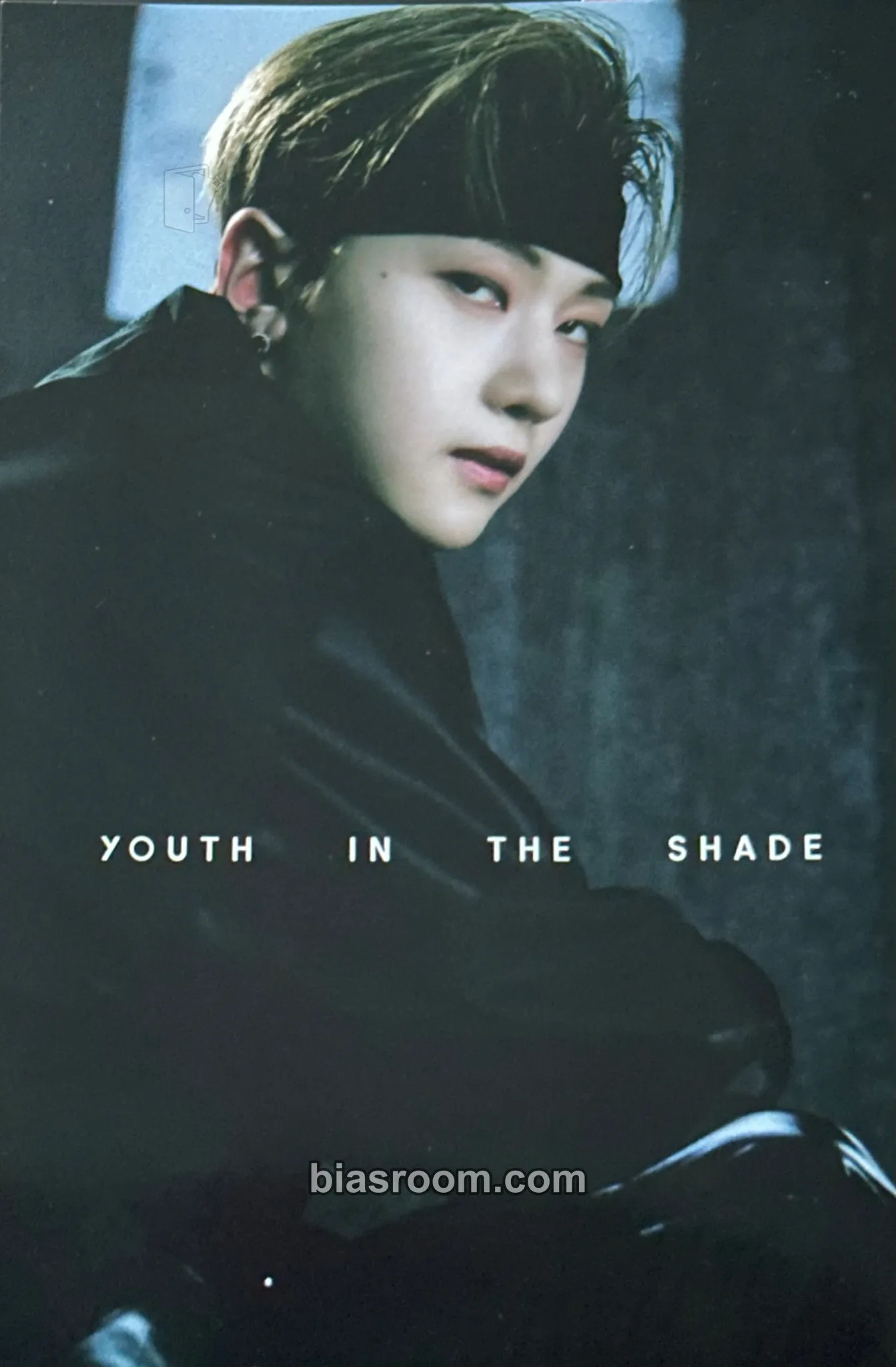 Matthew Youth in the Shade Photocard - ZEROBASEONE - ZEROBASEONE K-pop photocard