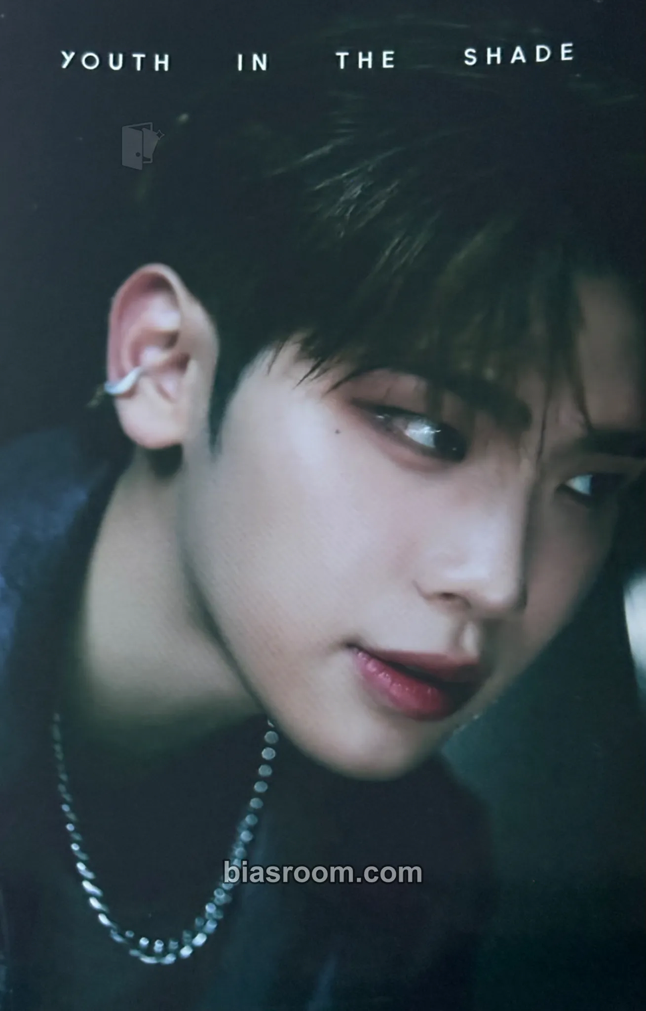 Taerae Youth in the Shade Photocard - ZEROBASEONE - ZEROBASEONE K-pop photocard